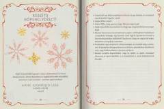 a_kiseger_aki_elhozta_a_karacsonyt_04